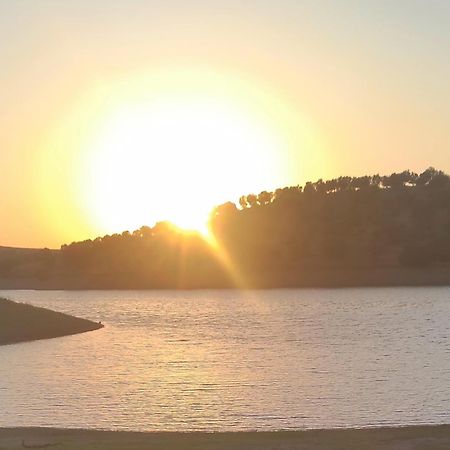 Nova Quinta Moderna Torramo Em Oliveiras, Campo De Laranjas, Na Nacional 2, Alentejo 13750 M2 Villa Torrão Dış mekan fotoğraf