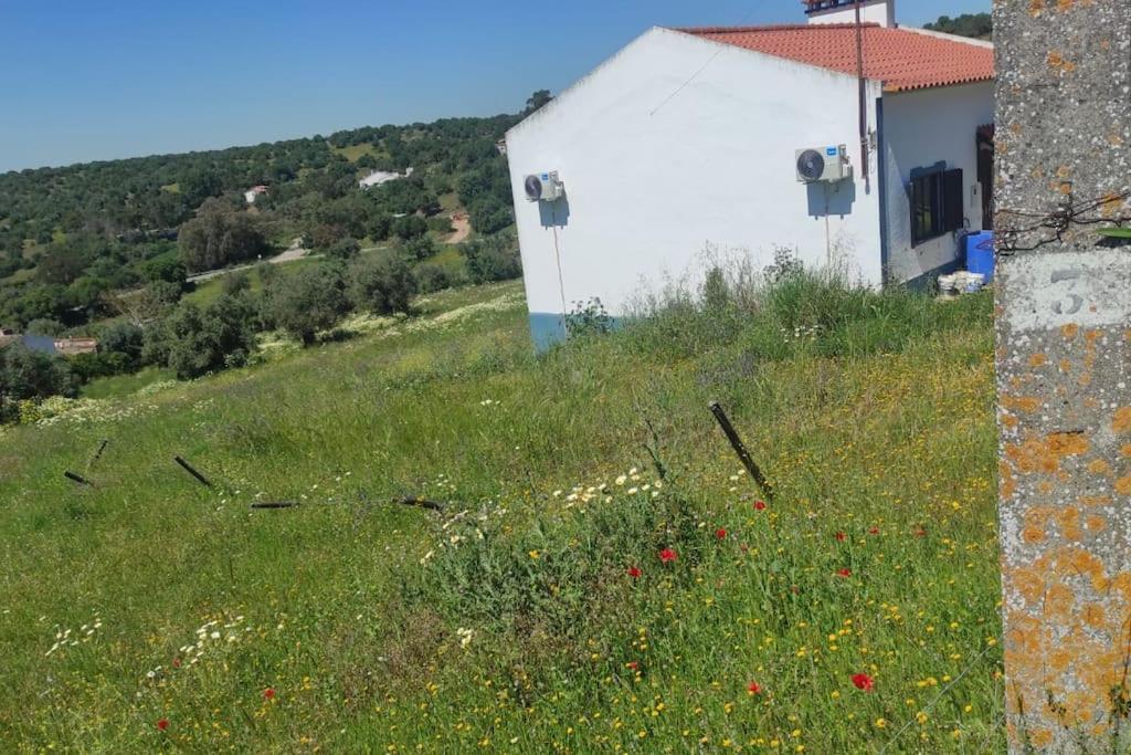 Nova Quinta Moderna Torramo Em Oliveiras, Campo De Laranjas, Na Nacional 2, Alentejo 13750 M2 Villa Torrão Dış mekan fotoğraf