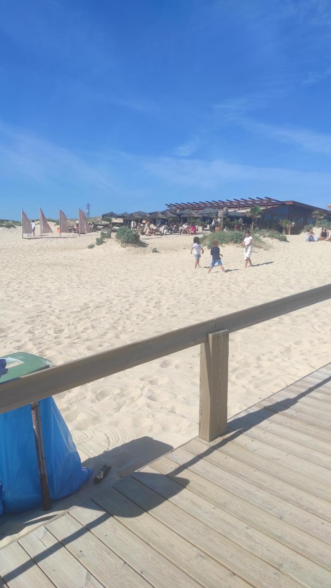 Nova Quinta Moderna Torramo Em Oliveiras, Campo De Laranjas, Na Nacional 2, Alentejo 13750 M2 Villa Torrão Oda fotoğraf