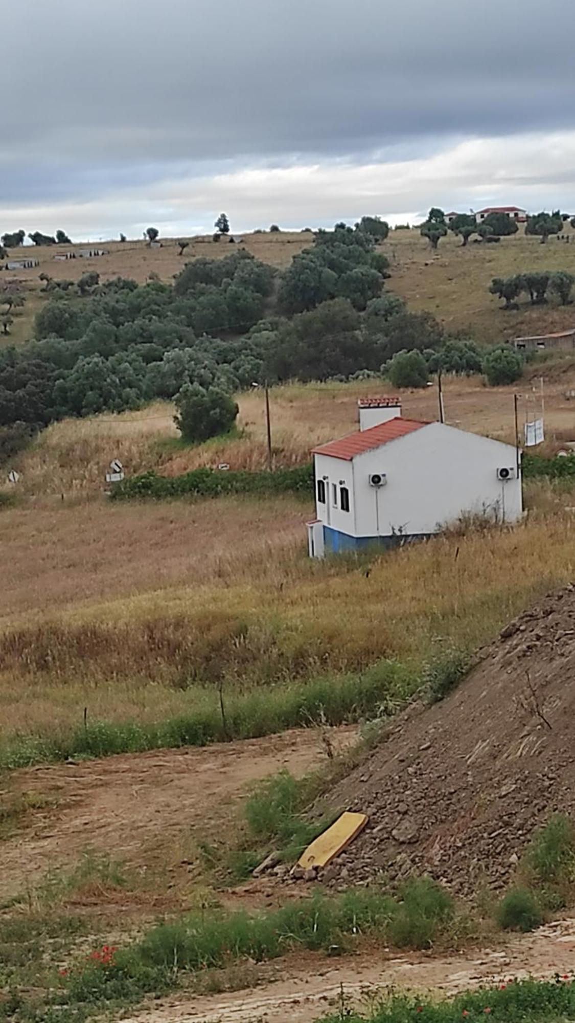 Nova Quinta Moderna Torramo Em Oliveiras, Campo De Laranjas, Na Nacional 2, Alentejo 13750 M2 Villa Torrão Dış mekan fotoğraf