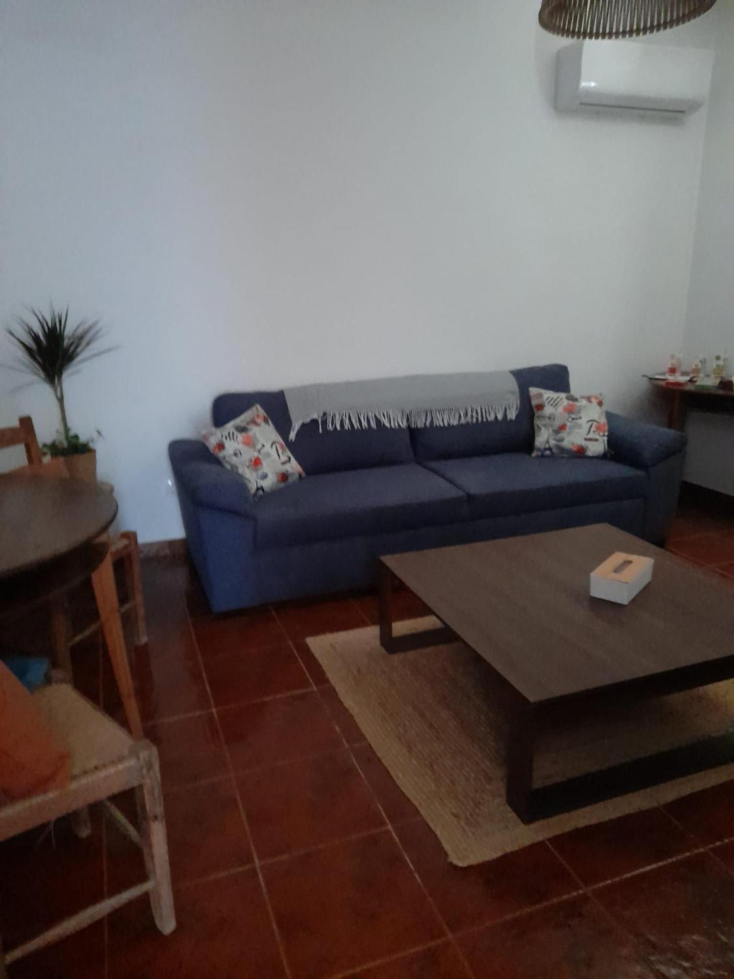 Nova Quinta Moderna Torramo Em Oliveiras, Campo De Laranjas, Na Nacional 2, Alentejo 13750 M2 Villa Torrão Dış mekan fotoğraf