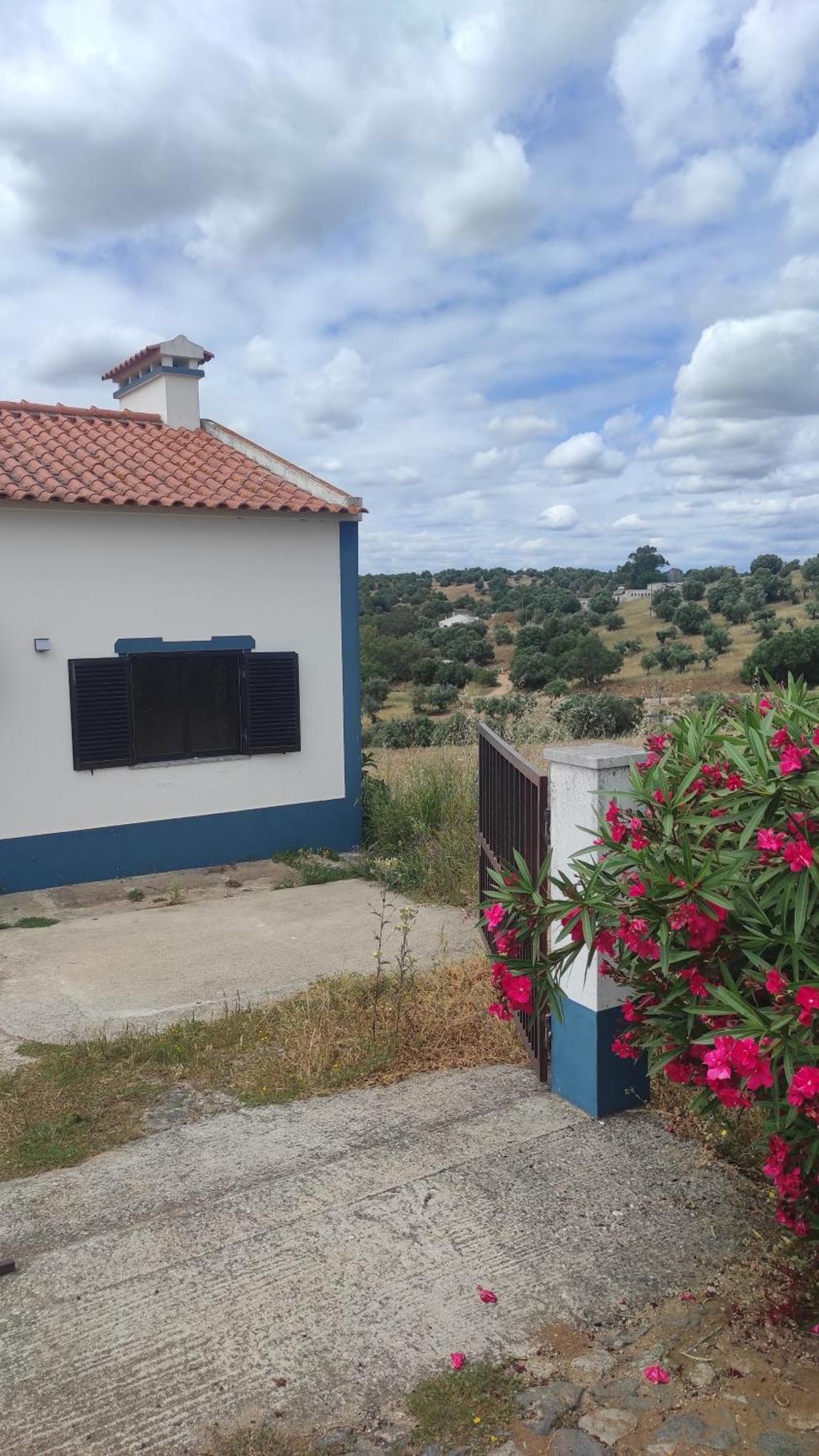 Nova Quinta Moderna Torramo Em Oliveiras, Campo De Laranjas, Na Nacional 2, Alentejo 13750 M2 Villa Torrão Dış mekan fotoğraf