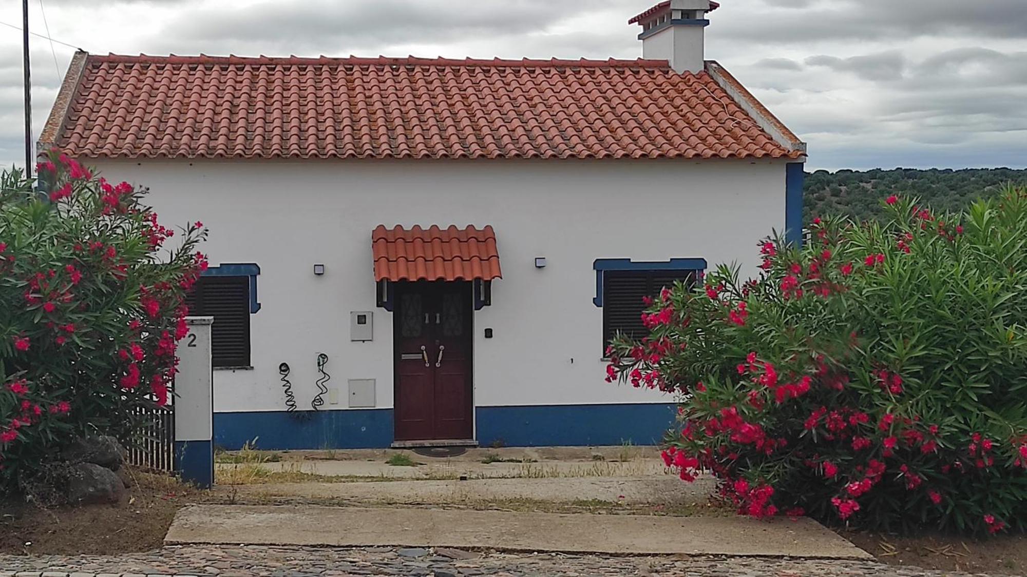 Nova Quinta Moderna Torramo Em Oliveiras, Campo De Laranjas, Na Nacional 2, Alentejo 13750 M2 Villa Torrão Dış mekan fotoğraf