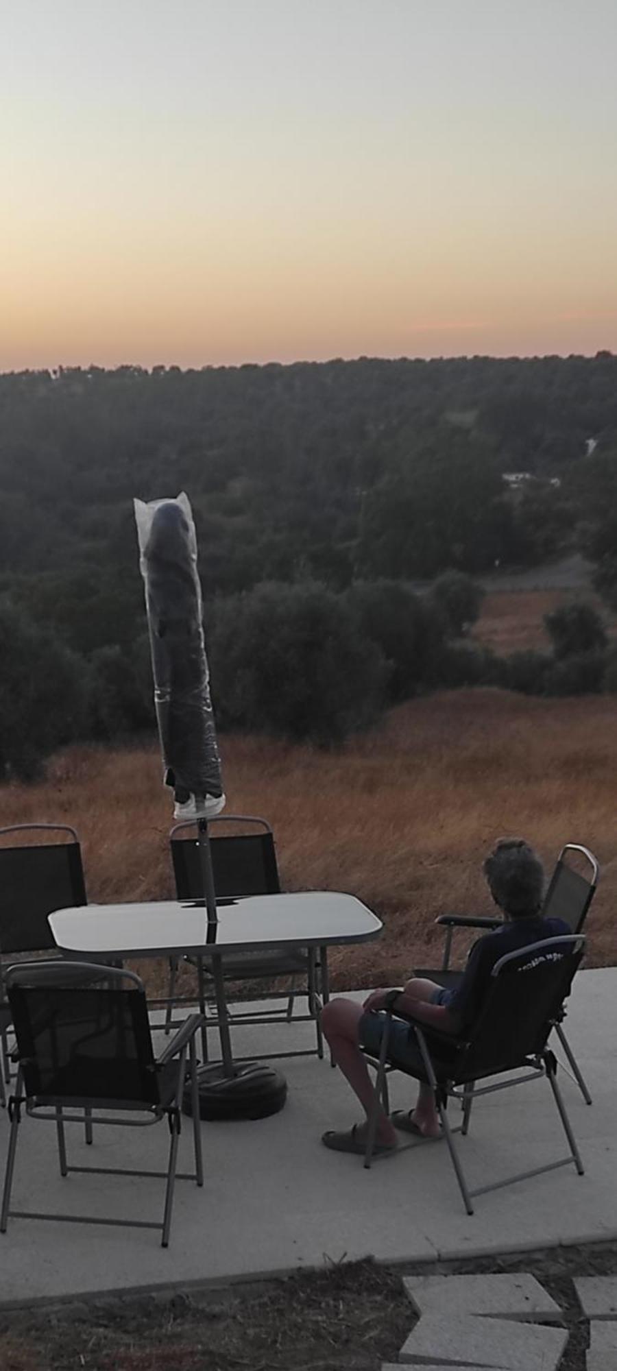 Nova Quinta Moderna Torramo Em Oliveiras, Campo De Laranjas, Na Nacional 2, Alentejo 13750 M2 Villa Torrão Dış mekan fotoğraf